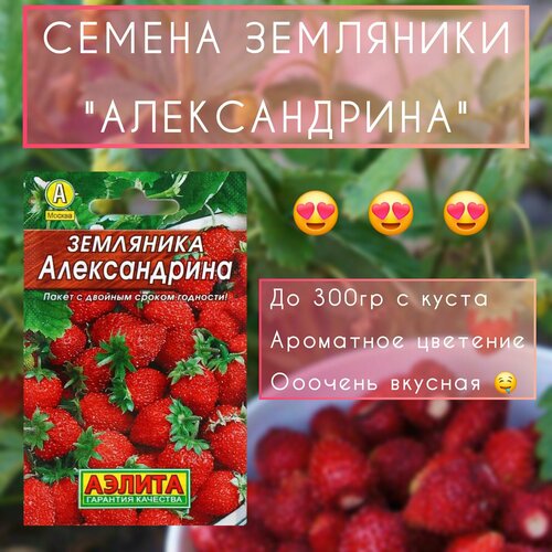 ������ ������ ������ ������ ��������� 