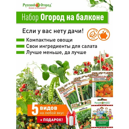 ������ ������ ����� ������ �� ������� ����