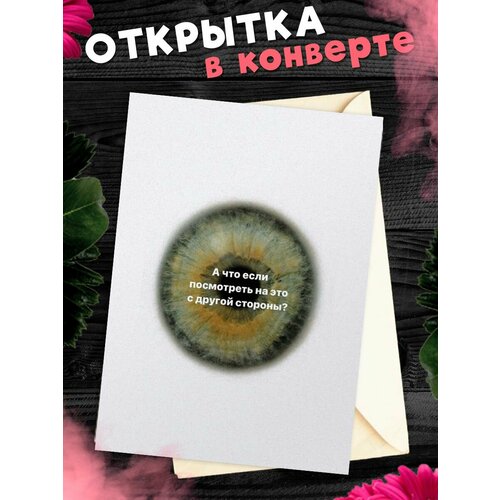 ������ ������ �������� ������ �6, � ����� �������� ����