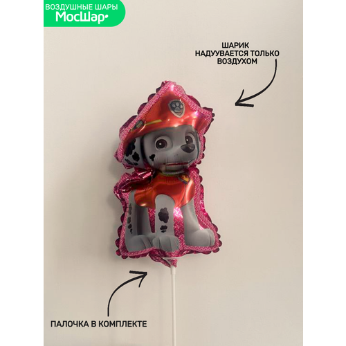 ������ ������ ��� �� ������� ���� ������ ������� ������� ������ ����