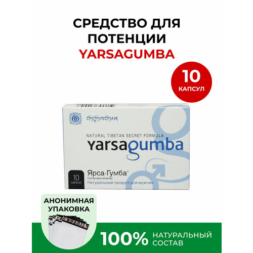 ������ ������ ������������ �������� YarsaGumba, 10 ������ ����