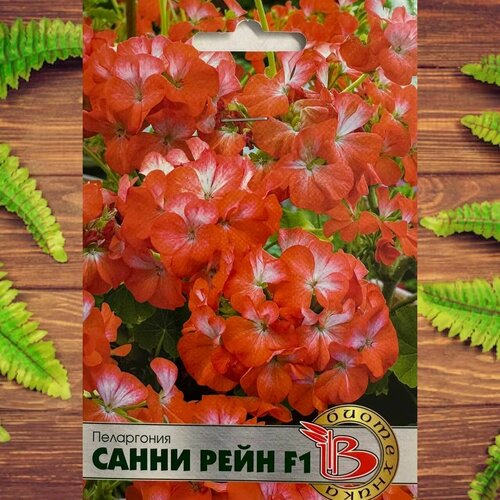 ������ ������ ������ ������ ��� ���� � ���� ���������� ����� ���� F1 ����