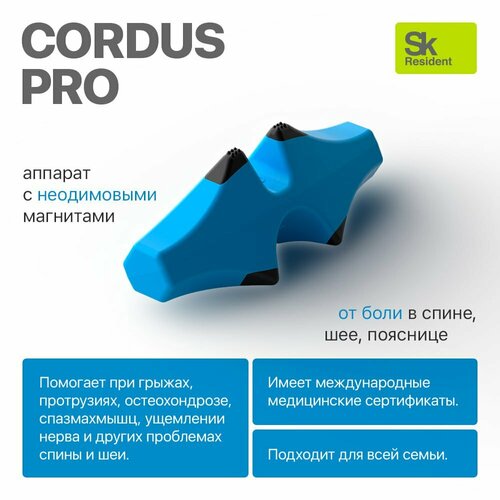 ������ ������ Cordus Pro (������ ���) - �������� ��� ����� ��� � ��������. ����