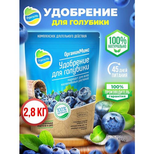 ������ ������ ��������� ��� �������� ���� ������� ����������� ������������ ����