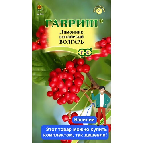 ������ ������ �������� ��������� ������� ����