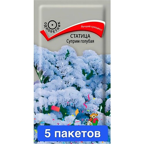 ������ ������ ����� ������� ������ ������� 5 ������� ����