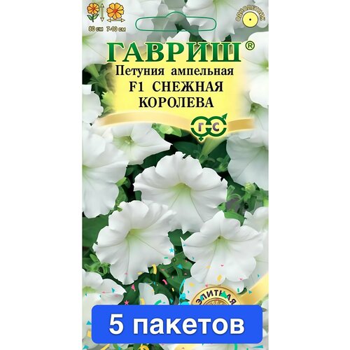 ������ ������ ����� ������� ��������� ������� �������� F1 5 ������� ����