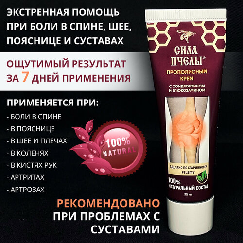 ������ ������ ���� ��� �������� �� ���� � �����, ��������, ���, ������� ���� �����. ����������� ������ 100%, ��� ���, 30 ��. ����