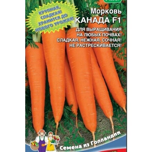 ������ ������ ������ ������� ������ F1 (��) �/� ����