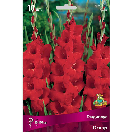 ������ ������ �������� ���������� ����� ����� 3 x 3 �� ����