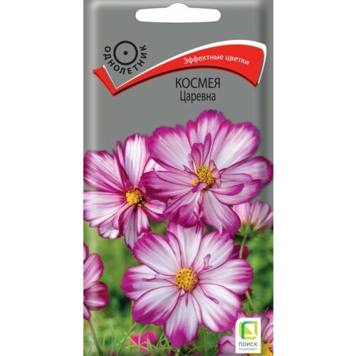 ������ ������ ������ ������ ������� 0,1� ��� 100�� (�����) ����