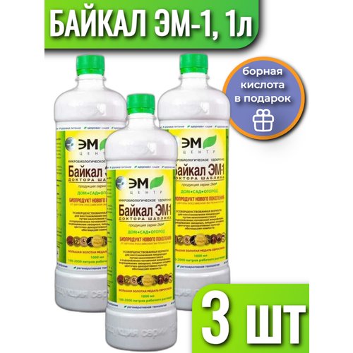 ������ ������ ��������� ��-����� ������ ��-1, 1 �, 3 ��. ����