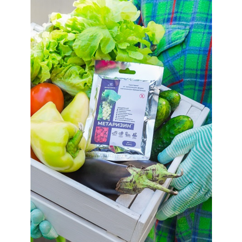 ������ ������ �������� ��������� �� ������� � ��������� ���������� 50 �� ����