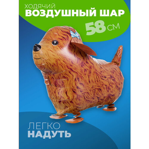 ������ ������ �������������� ������� ��� ������ ����