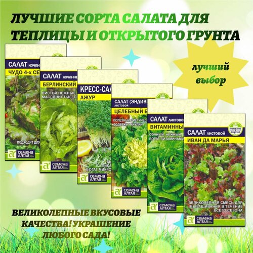 ������ ������ ������ ������: ����� ��� ������ ����. ������ ����� ����