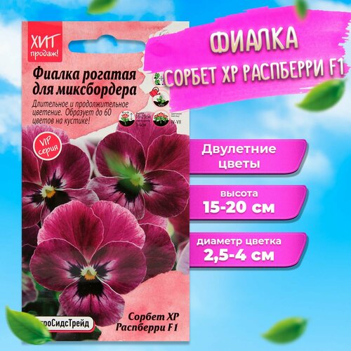 ������ ������ ������ ������� ������ XP ��������� F1 5 �� ����