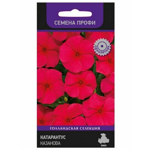 ������ ������ ������ ����� ������ ����� ���������� ��������, 10 ��. ����