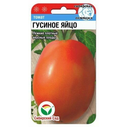 ������ ������ ������ ����� ������� ���� 20�� ����� (��������� ���) ����