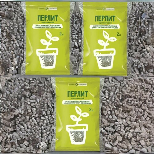 ������ ������ ������ 2� / 3�� ������ ���������� ����