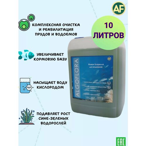 ������ ������ �������� ��� ������� ������ � �������� 10 ������ ����