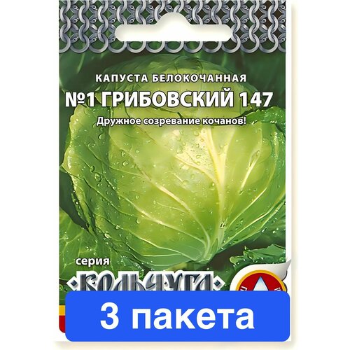 ������ ������ ������ ������ ������� ������ 