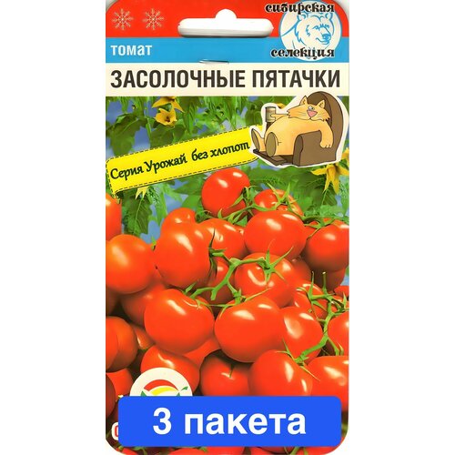 ������ ������ ������ ������ ��������� ��� 