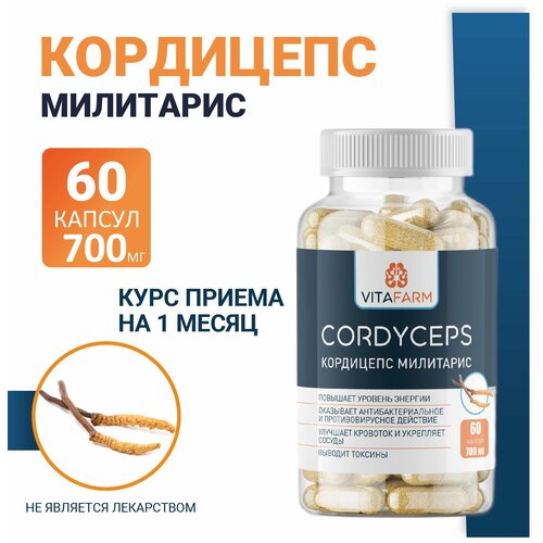 ������ ������ ��������� ��������� (Cordyceps militaris) ������� 60 ��/ 700 �� ����