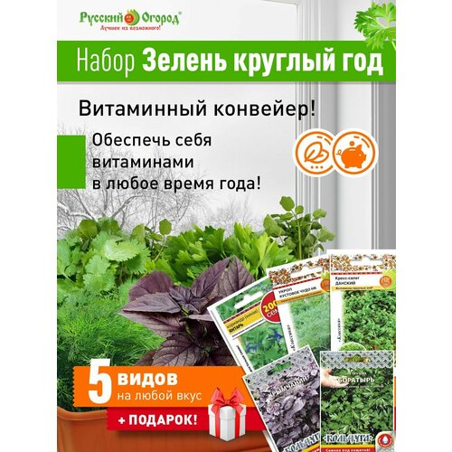 ������ ������ ����� 