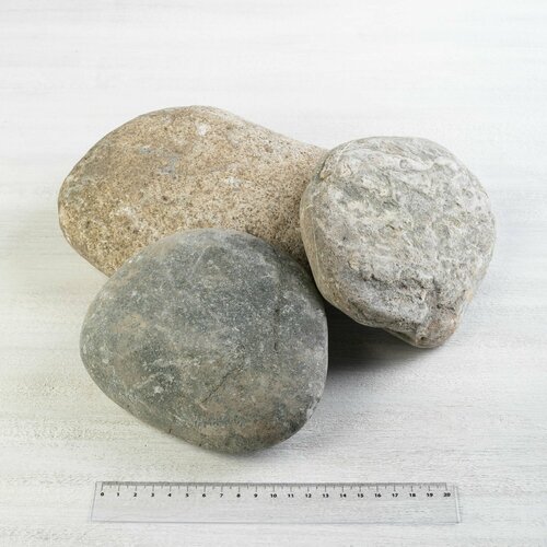 ������ ������ ������ ������ ������ 100-200 �� 10 �� (358) ����