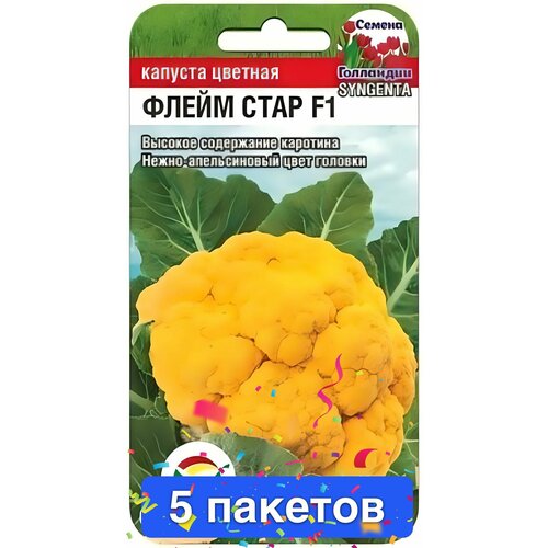 ������ ������ ������ ������ ��������� ��� 