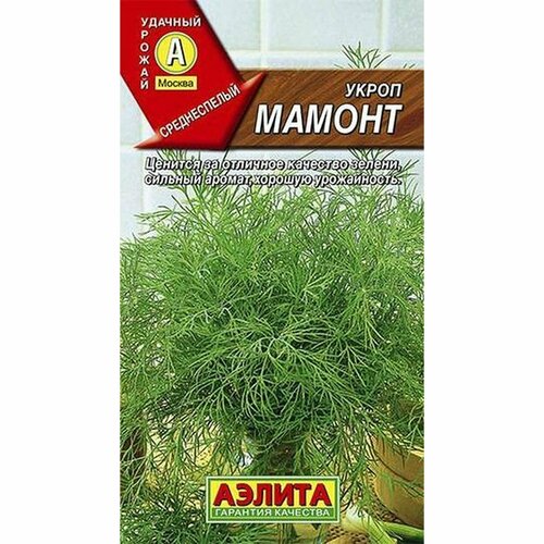 ������ ������ ������ ����� ������, ������������, (������) 2� ����