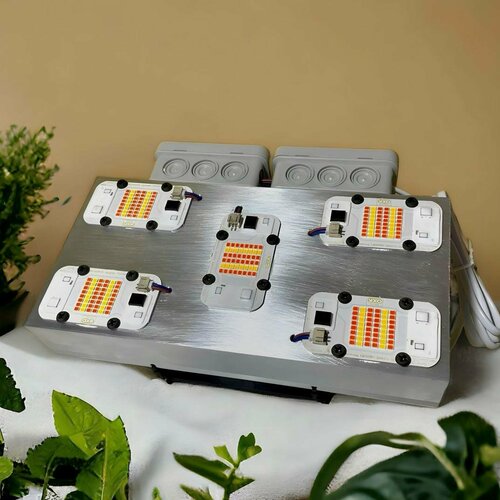 ������ ������ ��������� 