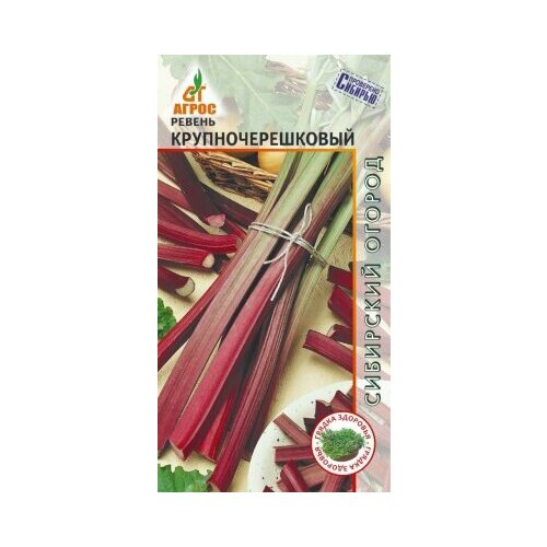 ������ ������ ������ ������ ���������������� 0,2� ������ (�����) ����