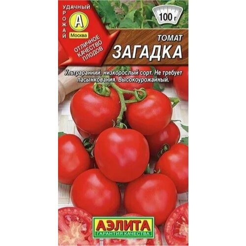 ������ ������ ������ ����� ������� 20�� ��� ������ (������) ����