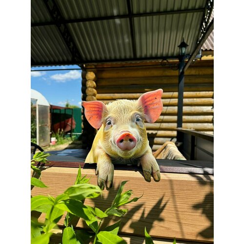 ������ ������ ����� �� ������� ��� ����, ���� 