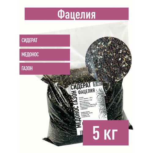 ������ ������ ������� ������, 5 �� ������� ������� ����� ����