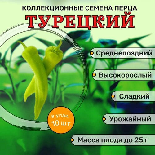 ������ ������ ������������� ������ ����� �������� �������� ������� ����