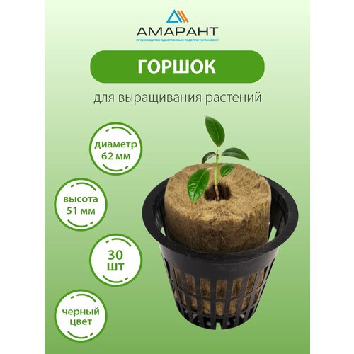 ������ ������ ������ ������� ��� ������� 30 �� ������ ����