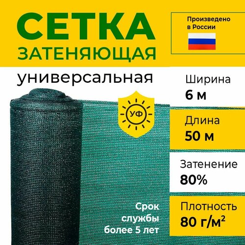 ������ ������ ����� ���������� 6�50 �, 80 ��/�2, ��������� 80% ����