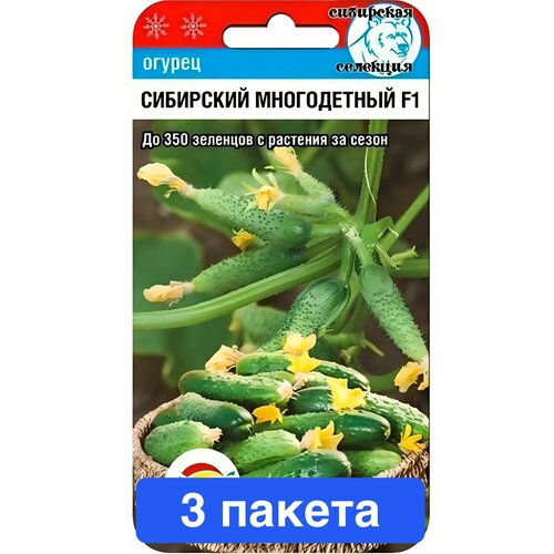 ������ ������ ������ ������ ��������� ��� 