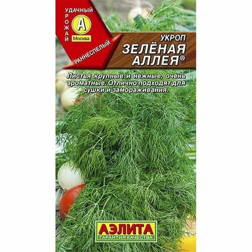 ������ ������ ������ ����� ������� �����, �����������, (������) 3� ����