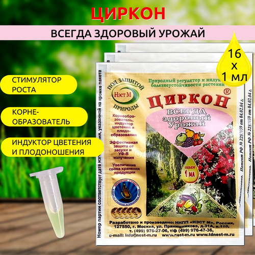 ������ ������ ���� � ������ ��� �������� 1 ��, 16 �� ����