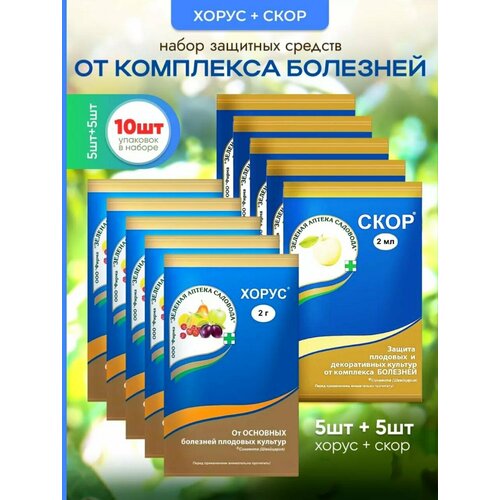 ������ ������ ���� �������� 5 �� ����� �������� ��� ������ �������� �� �������� 5 �� ����