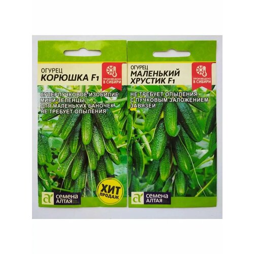 ������ ������ ������ ������� � ��������� ������� ����