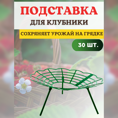 ������ ������ ����������� ��� ��������� ��� �������� ��������, 30 �� ����