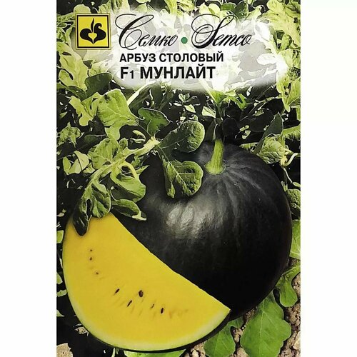 ������ ������ ����� 