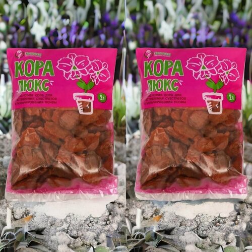 ������ ������ ���� ��������� ����� ���� 2� ����