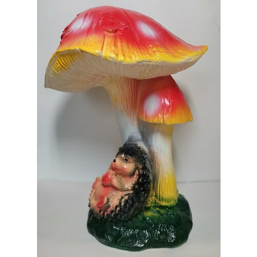 ������ ������ ������� ������� ���� ��� ������ 34��*21�� ����