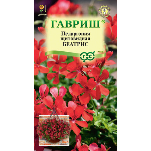 ������ ������ ������ ���������� �������, 3��, ������, ��������� ��������� ����