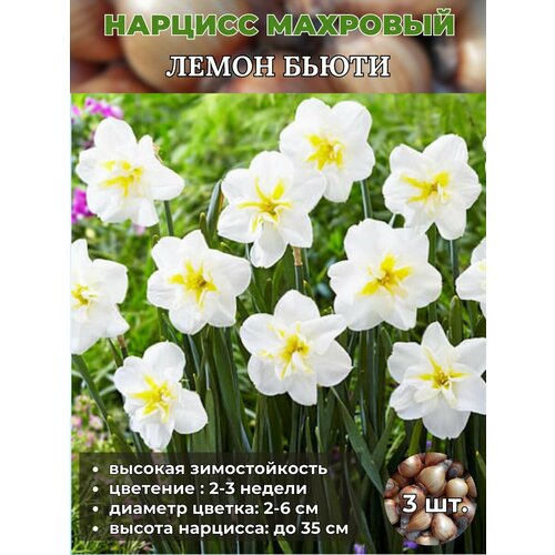 ������ ������ ������� ��������. �������� 3 ����� ����